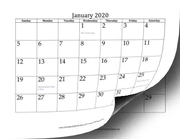 2020 Calendar (12 pages) Calendar